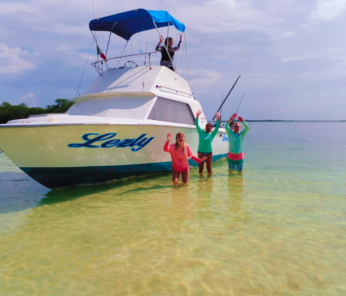 imagen de van privada de laloshuttle