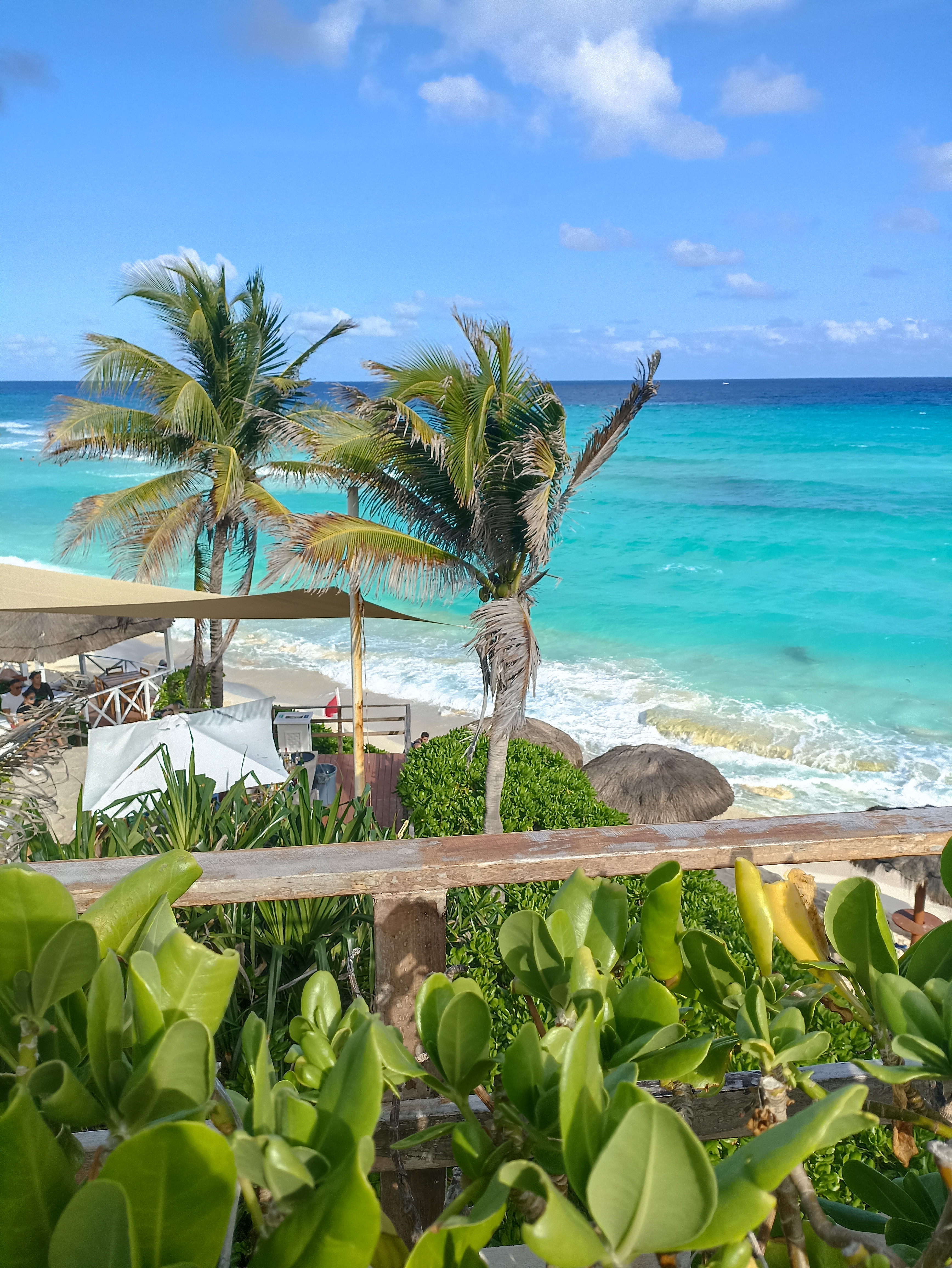 Transfer to Oasis Hotels