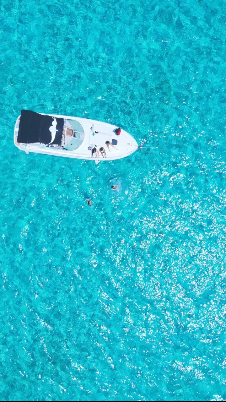 Pescado de cerca en el barco