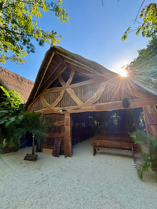 Vegetation and paths